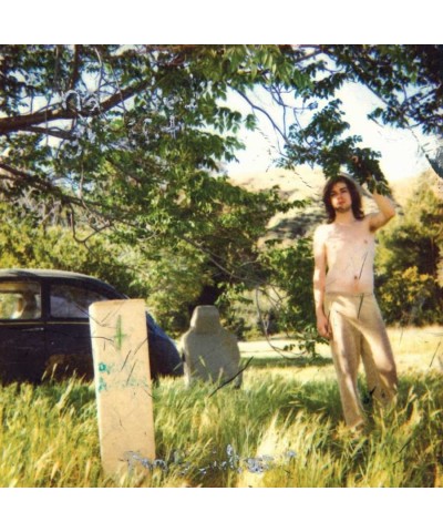 Ariel Pink's Haunted Graffiti DOLDRUMS (REMASTERED) (2LP/DL CARD/COVER REDESIGN BY HIM) Vinyl Record $9.06 Vinyl