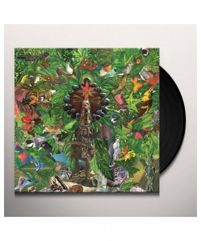 Plankton Wat Drifter's Temple Vinyl Record $9.92 Vinyl